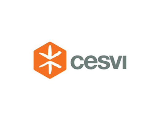 Cesvi